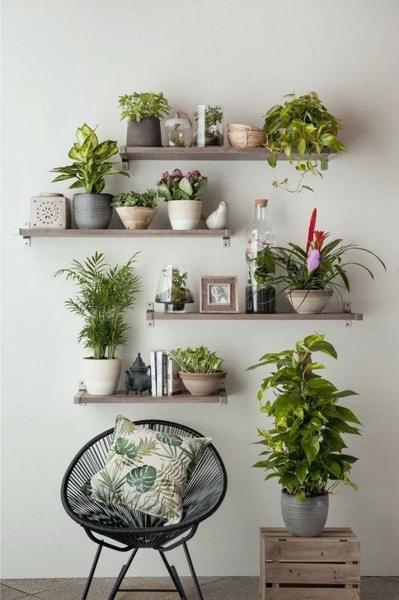 Plantes - petits espaces - inspiration 003